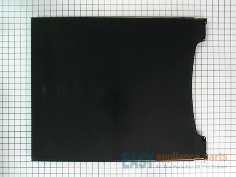 Exterior Door Panel - Black – Part Number: 6-917693