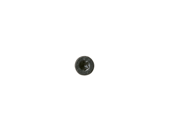 Screw Head Painted Black – Part Number: WB1K62