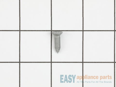Washer Screw – Part Number: 137380600